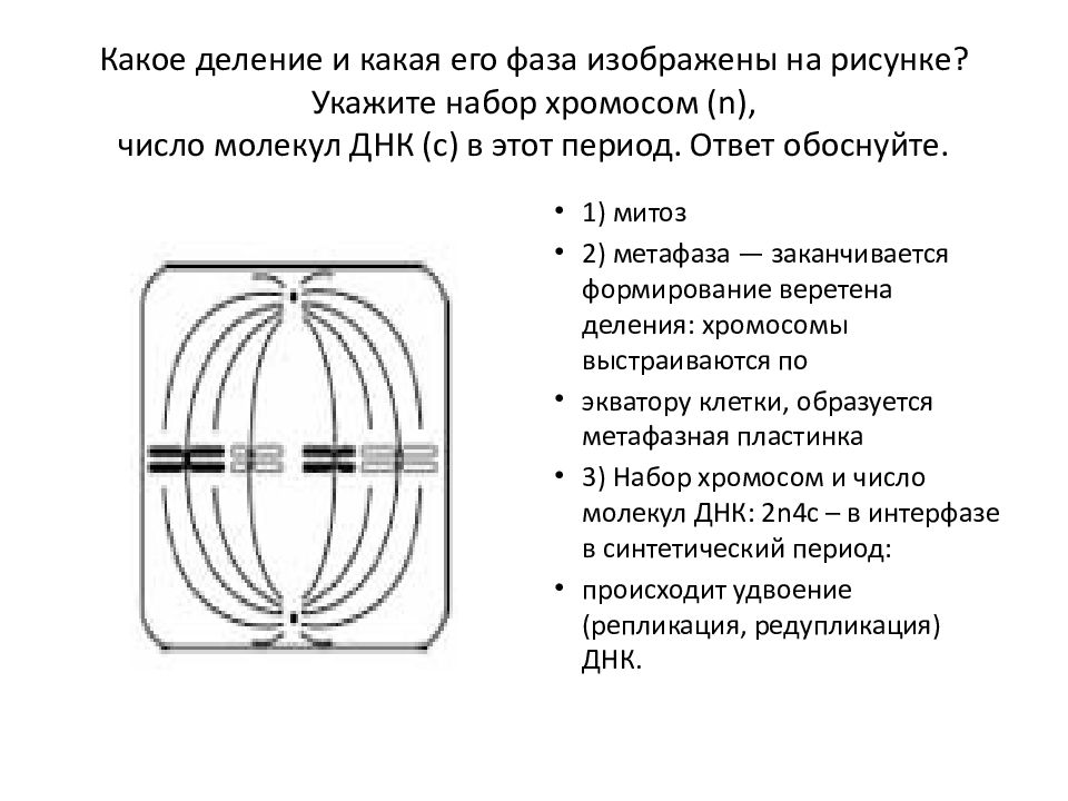 Какая фаза изображена на рисунке