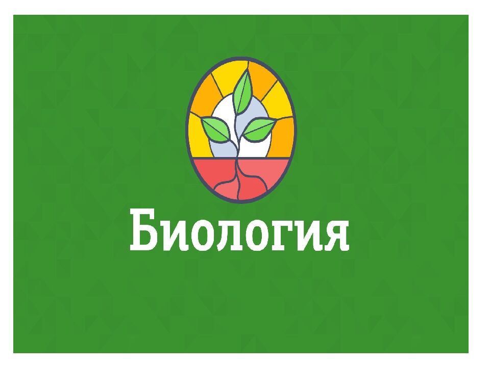 День знаний в 5 классе Лазарева Олеся Борисовна Учитель английского языка МАОУ