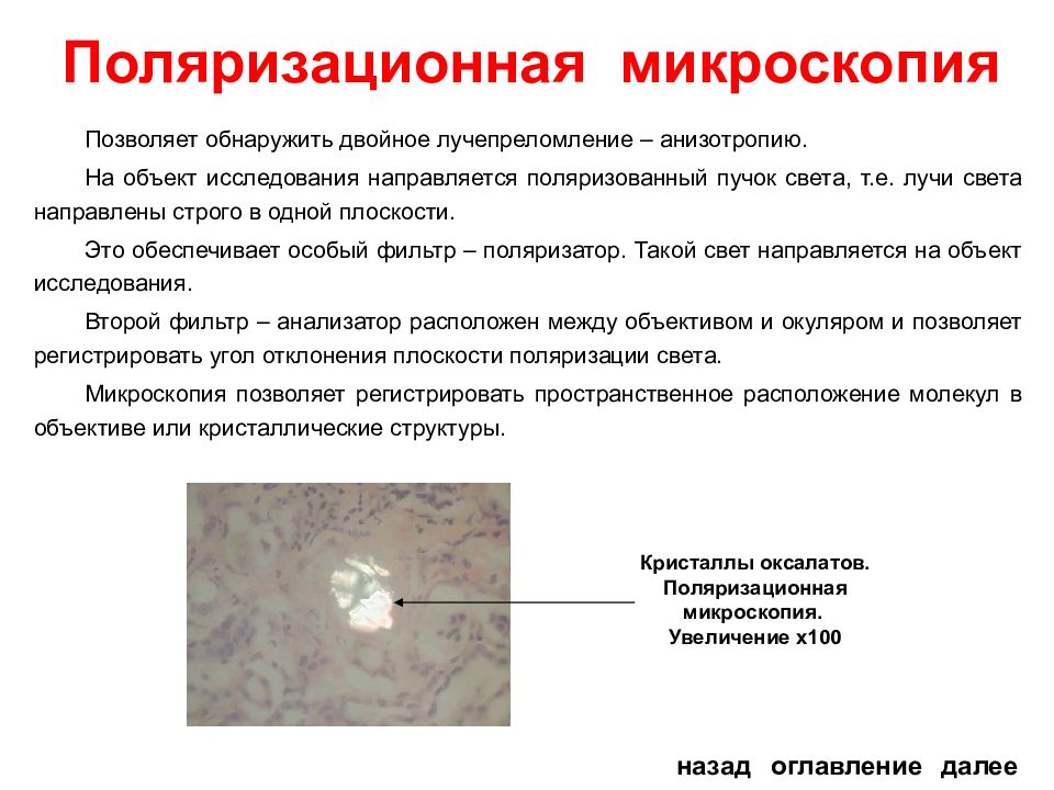 Какой метод биологических исследований был использован для получения изображения на данном рисунке